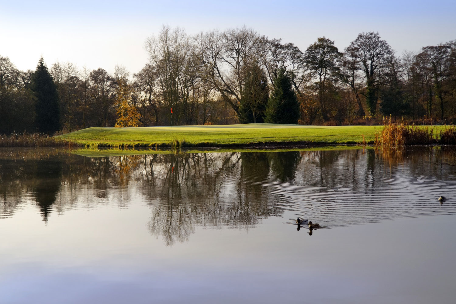 View of lake with 3 ducks